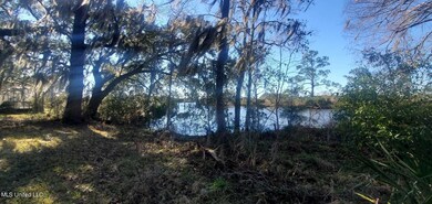 100' Biloxi River