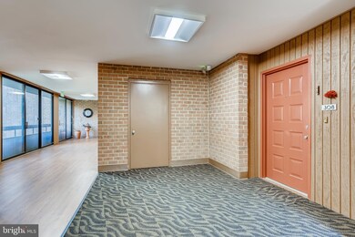 6350 Red Cedar Place unit 308, Baltimore, MD 21209 - photo 5