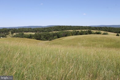 29.63 Ac Push Root Rd, Burlington, WV 26710 - photo 6