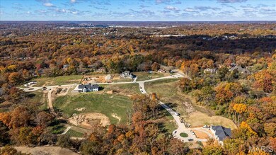 12259 Sunset Reserve Ct, Saint Louis, MO 63127 - photo 6