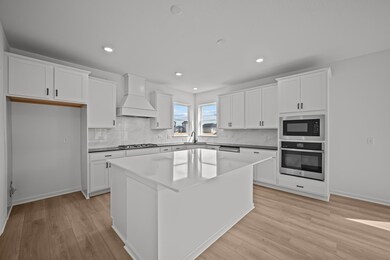 Example of a Gourmet Kitchen