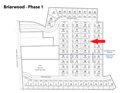 3013 Blackbriar Dr, Oxford, MS 38655 - photo 5