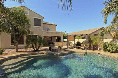 Oasis Back Yard Pool