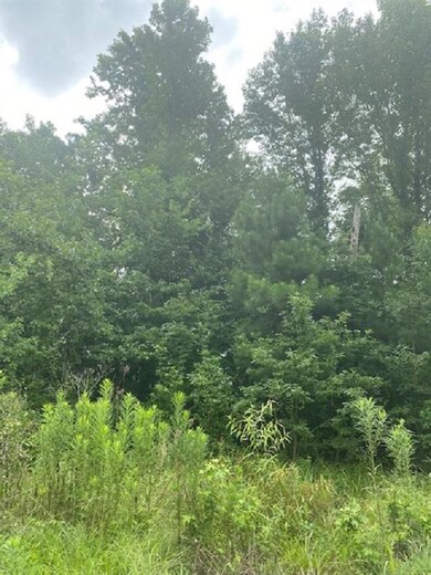 Lot 32 Heather Dr, Texarkana, TX 75501 - photo 2