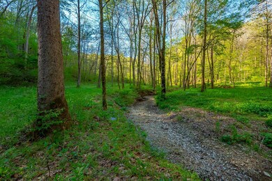 828 Blue Stocking Hllw Rd, Shelbyville, TN 37160 - photo 6