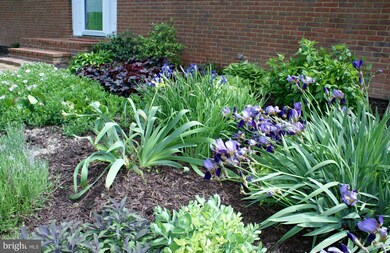 1659 Apple Pie Ridge Rd, Winchester, VA 22603 - photo 5