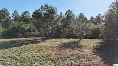 761 County Road 31, Hanceville, AL 35077 - photo 4