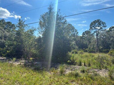0 SW South Wind Ct unit MFROM709010, Dunnellon, FL 34431 - photo 3
