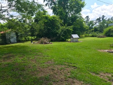 back yard