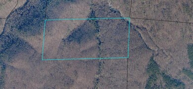 Aerial 2