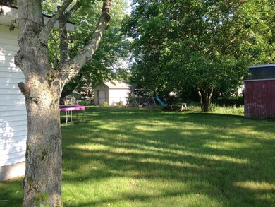 3 - Backyard