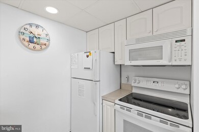 Golden Sands, Ocean City, MD 21842 - photo 7