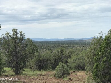 43700 N Robles Rd, Ash Fork, AZ 86320 - photo 6