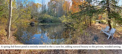 Pond (1), label