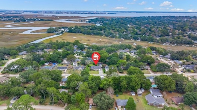 1310 Julian Clark Rd, Charleston, SC 29412 - photo 3