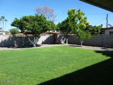 BACKYARD (2)