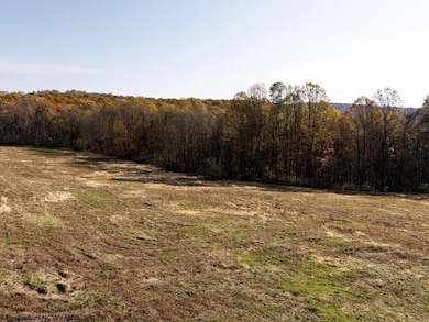 TBD N Preston Hwy, Bruceton Mills, WV 26525 - photo 5