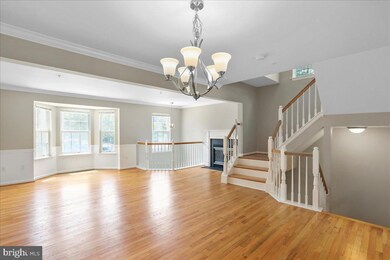 3032 Spice Bush Rd, Laurel, MD 20724 - photo 4