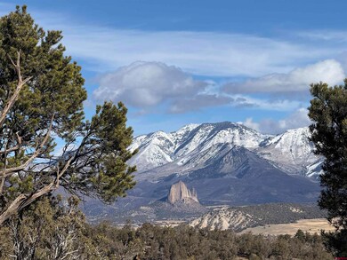 38.06 tbd Black Bear Trail, Crawford, CO 81415 - photo 7