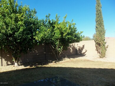 back yard