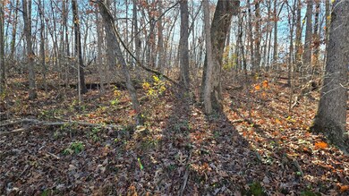 Lot 8 Embleton Dr, Bella Vista, AR 72714 - photo 3