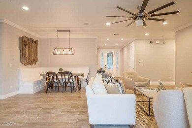 The Living Area