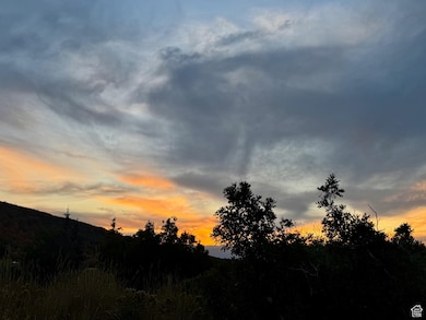 View of local wilderness