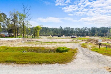 4697 Smith Rd unit Lot 2, Aynor, SC 29511 - photo 3