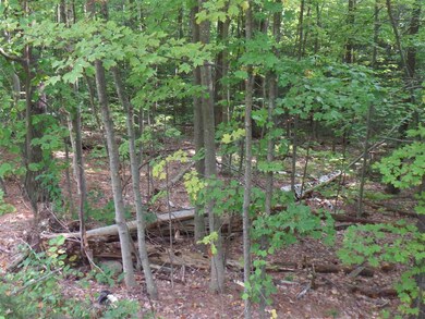 30 Catamount Rd, Pittsfield, NH 03263 - photo 5