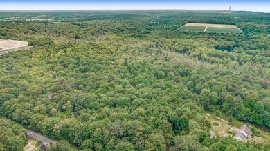 DJI_0381