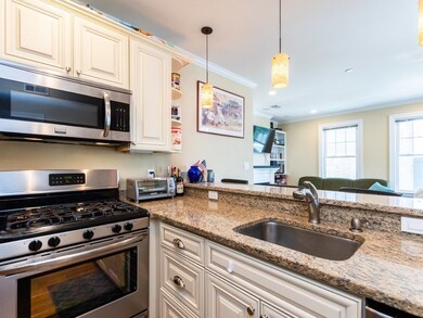 50 Middle St unit 2, Boston, MA 02127 - photo 4