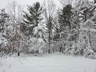 V/L Abermanis Trail, Luther, MI 49656 - photo 5