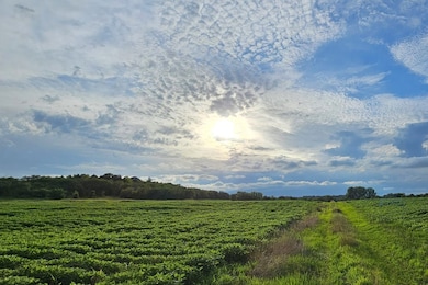 254th and Archer Rd, Lawrence, KS 66044 - photo 2