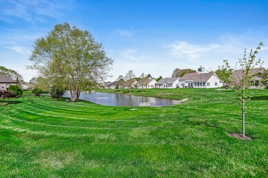 A view of the large back yard looking towards the pond
