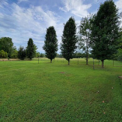 Fenced Back Yard