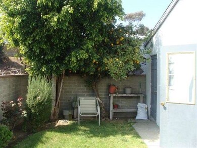 Rear Yard