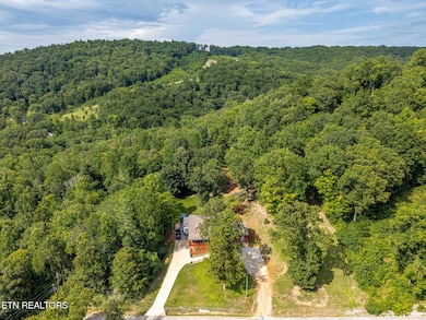 103 Pinnacle Pointe Way Aerial-3
