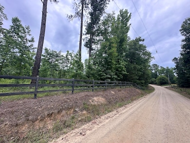 1540 Watson Bailey Rd, Harlem, GA 30814 - photo 5