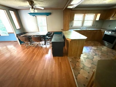 23099 Questing Hills Rd, Chandlerville, IL 62627 - photo 4