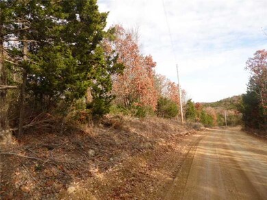 2250 County Road 220, Eureka Springs, AR 72631 - photo 3