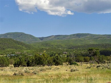 19682 2375 Rd, Cedaredge, CO 81413 - photo 4