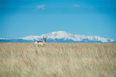 7950 N Peyton Hwy unit 11, Peyton, CO 80831 - photo 3