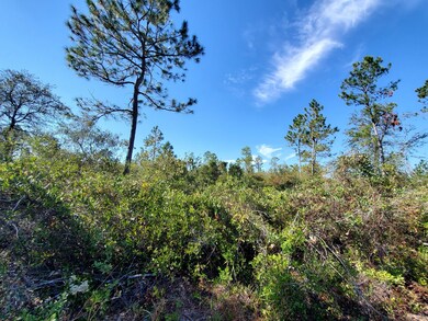 0 County Line Rd unit 19597151, Lee, FL 32059 - photo 7