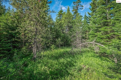 Lot 10 E Riley Loop, Athol, ID 83801 - photo 6