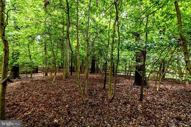 2403 Red Maple Ln, Reston, VA 20191 - photo 7