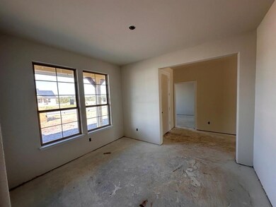 115 Brush Creek Dr, Boyd, TX 76023 - photo 3