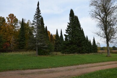 2048 N Pole Rd, Birnamwood, WI 54414 - photo 4