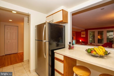 1040 Deer Ridge Dr unit 405, Baltimore, MD 21210 - photo 7