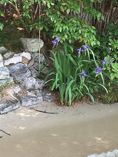 59 Banfield Rd, Tuftonboro, NH 03853 - photo 3