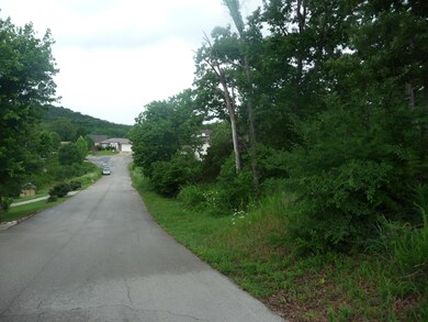 Tbd Oregon Ln, Ruth B Rural Township, MO 65686 - photo 7